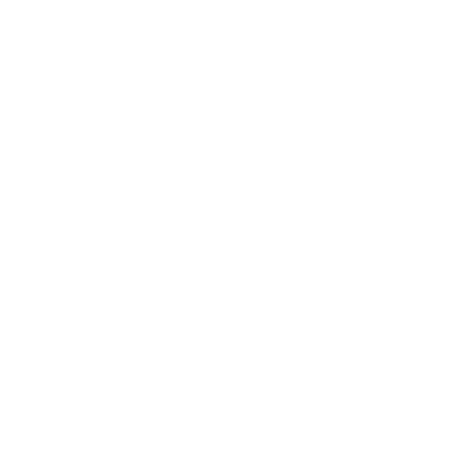 Light  Biscoff Protein Brownie